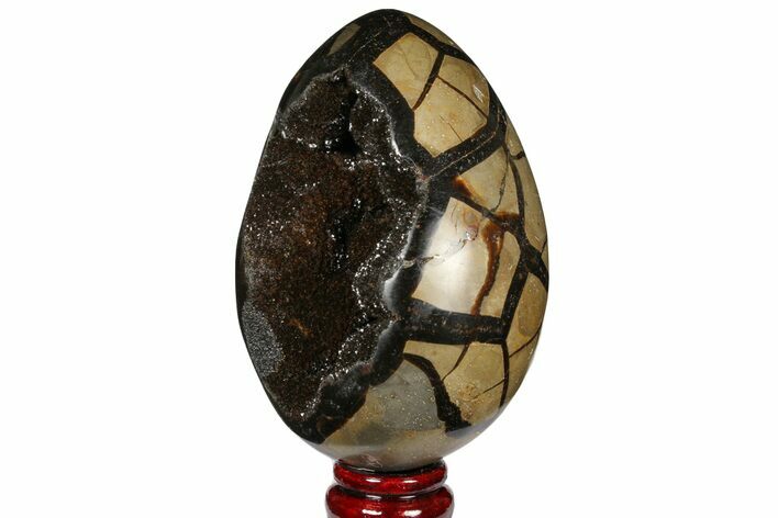 Septarian Dragon Egg Geode - Black Crystals #120881